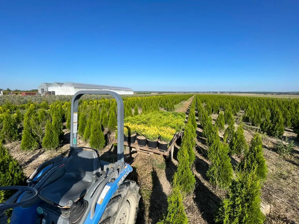 Vista desde la guardería de Marcinków 2